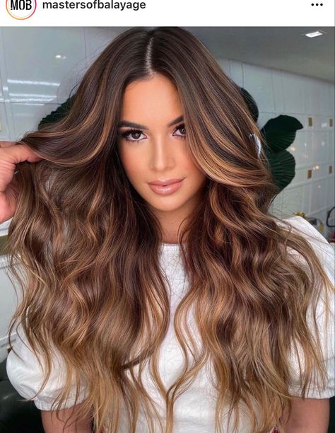 Light Brown Ombre Hair, Hair Color Caramel, Brown Hair Dye, Brunette Hair With Highlights, Caramel Balayage, Blending Gray Hair, Brown Hair Balayage, Blonde Hair Looks, Balayage Brunette