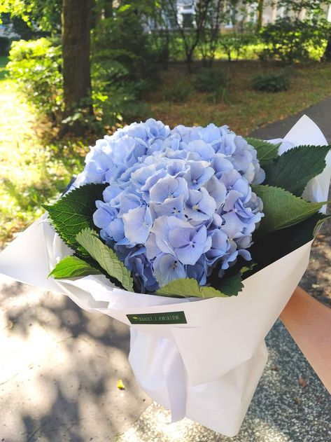 three hydrangea bouquet, white blue bouquet, bouquet in designer packaging, bouquet in kraft paper Blue Hydrangea Bouquet, Designer Packaging, Hydrangea Bouquet, Blue Bouquet, Blue Hydrangea, Kraft Paper, Hydrangea, White Blue, Wild Flowers