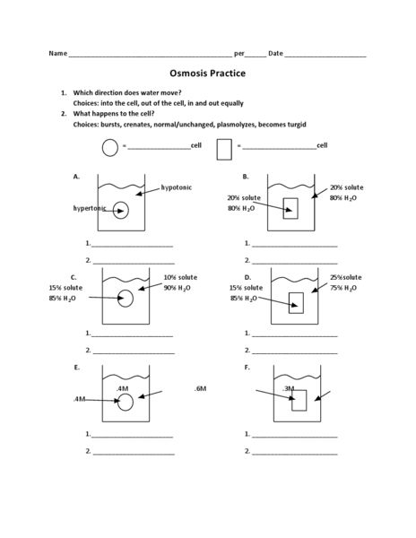 Diffusion And Osmosis Worksheet Answers Diffusion Worksheet Answer Diffusion And Osmosis, Diffusion Osmosis, Transport Activities, Teaching Cells, Facilitated Diffusion, Graphing Quadratics, Active Transport, Passive Transport, Cell Transport