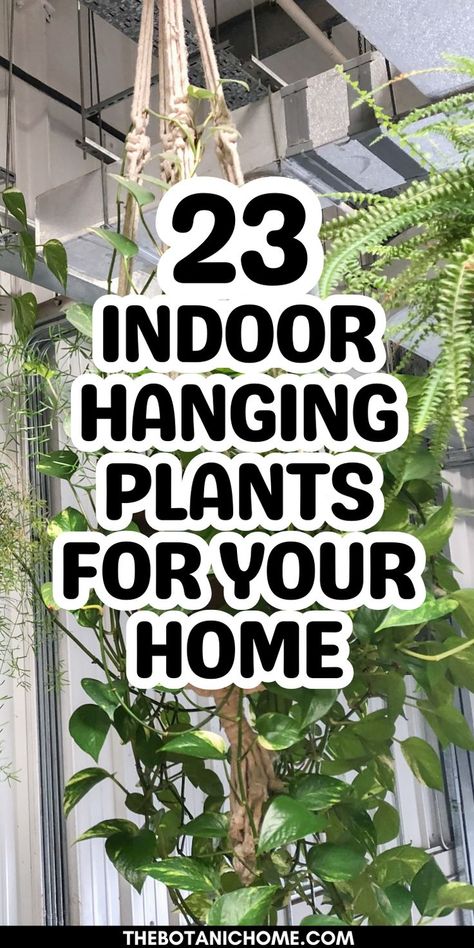 Inspiration for hanging plants for bedroom including hanging window plants indoor, plant hanger in front of window, and best indoor plants for bedroom. Features hanging plants dark room and cute bedroom ideas plants for plants for bedroom decoration. Window Plants Indoor, Hanging Plants For Bedroom, Indoor Plants For Bedroom, Bedroom Ideas Plants, House Plants Ideas, Best Hanging Plants, Hang Plants From Ceiling, Hanging House Plants, Plants For Bedroom