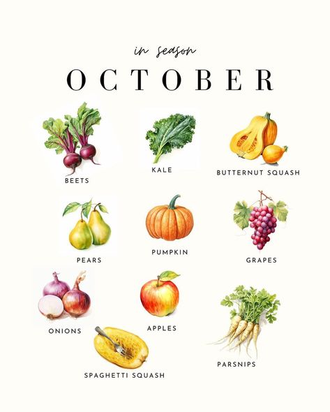 It’s that time of the month: October Produce! Fall is officially here. You’re going to see lots of squash, root veggies (parsnips, beets… | Instagram September Produce, Cinnamon Peaches, Meatless Meals Healthy, October Food, Fall Produce, Grape Apple, Seasonal Produce, Fall Cooking, Eat Seasonal