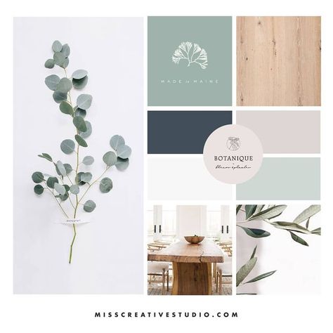 Eucalyptus Mood Board, Furniture Brand Identity, Neutral Bathroom Colors, Identity Project, Bathroom Color Schemes, House Color Palettes, Paint Color Schemes, Designer Logo, Blue Color Schemes