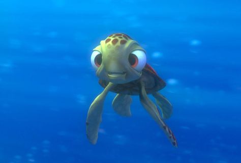 Finding Nemo Quotes, Nemo Quotes, Nemo Dory, Disney Finding Nemo, Pixar Characters, Disney Animals, Film Disney, Finding Dory, Disney Favorites