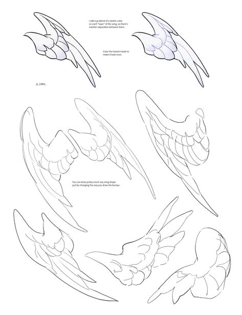 Wing Span Reference, Bird Wing Anatomy Drawings, Wing Anatomy Angels, Waist Wings Drawing, Wing Cloak Concept Art, Harpy Body Base, Wing Study Drawing, Bird Wings Sketch, Wing Poses Drawing