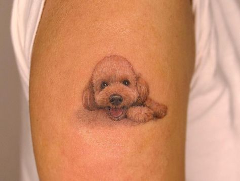 Poodle Tattoo, minimalist poodle tattoo, poodle tattoo ideas, toy poodle tattoo, poodle tattoo outline, standard poodle tattoo, simple poodle tattoo, geometric poodle tattoo, traditional poodle tattoo, black poodle tattoo, mini poodle tattoo, small poodle tattoo, cute poodle tattoo, realistic toy poodle tattoo, poodle tattoo designs, minimalist toy poodle tattoo, small simple poodle tattoo, minimalist poodle tattoo designs, french poodle tattoo, poodle tattoo images, cartoon poodle tattoo Toy Poodle Tattoo, Poodle Tattoo Ideas, Tattoo Designs Minimalist, Cartoon Poodle, Poodle Tattoo, Small Poodle, Tattoo Cute, Cute Poodle, Tattoo Mini