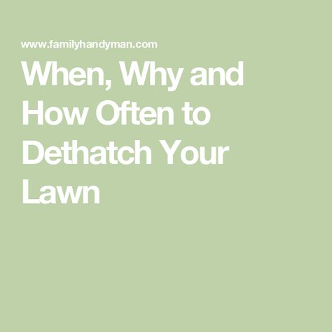 When, Why and How Often to Dethatch Your Lawn Dethatching Lawn, Tall Fescue, Types Of Grass, Plant Tissue, Grass Roots, Healthy Lawn, Seed Germination, Root System, The Roots