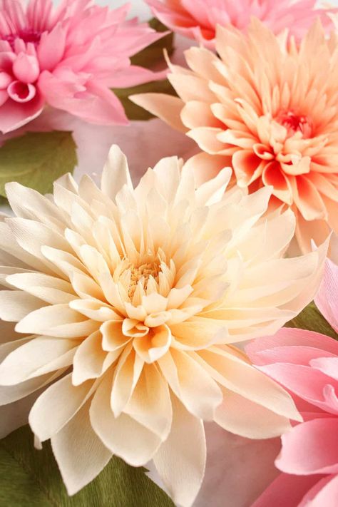 Oversized Crepe Paper Dahlia Creoe Paper Flowers, Crepe Paper Flower Backdrop Diy, Crepe Paper Large Flowers, Cricut Crepe Paper Flowers, Giant Paper Dahlia, Realistic Paper Flowers Diy, Big Crepe Paper Flowers Diy, Fall Crepe Paper Flowers, Crepe Paper Dahlia