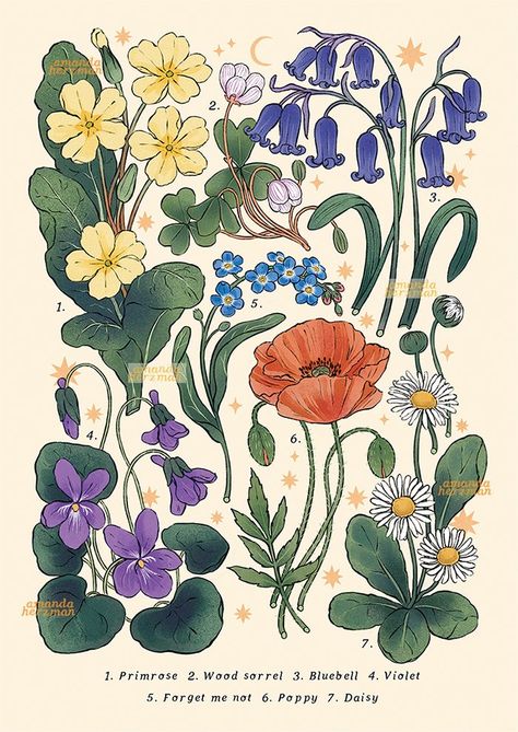 Forest Wildflowers, Gouache Flowers, Staring Contest, Flower Graphic Design, Bear With Me, Abstract Flower Art, Floral Drawing, Plant Painting, Mushroom Art