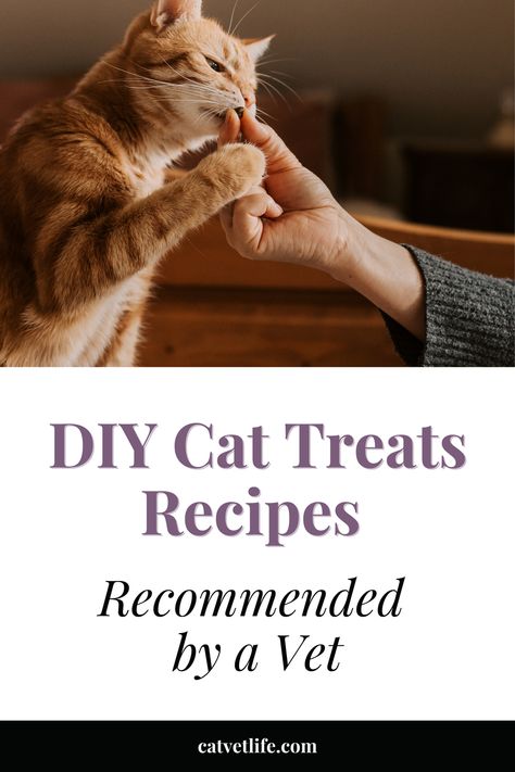 Dog And Cat Treat Recipes, Cat Treat Recipes Homemade, Cat Recipes Food, How To Make Cat Food, Homemade Cat Scratcher Diy, Diy Kitten Food, Kitty Treats Homemade, Homemade Cat Treats Recipes Easy, Diy Cat Food Recipe Homemade