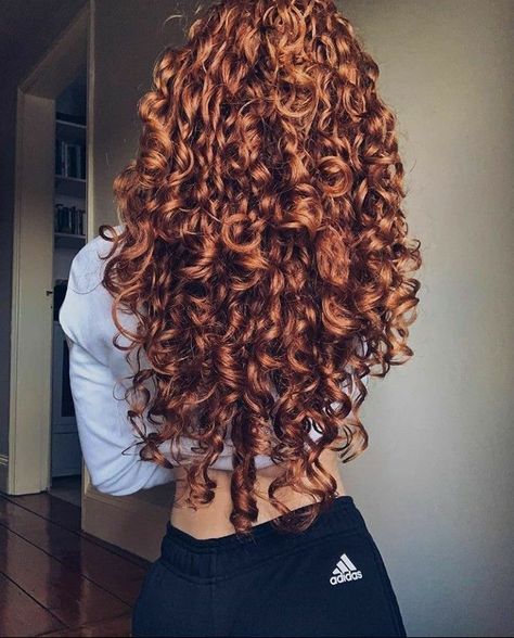 Curly Ginger Hair, Dyed Curly Hair, Natural Red Hair, Red Curly Hair, Ginger Hair Color, Hair Things, Colored Curly Hair, Hair Color Auburn, Curly Hair Inspiration