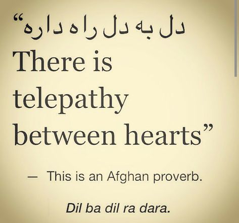 Afghan Proverbs, Afghan Poetry, Beautiful Words In Urdu, Afghan Quotes, Arabic Proverb, Writing On The Wall, Poetic Words, Soothing Quotes, Unusual Words