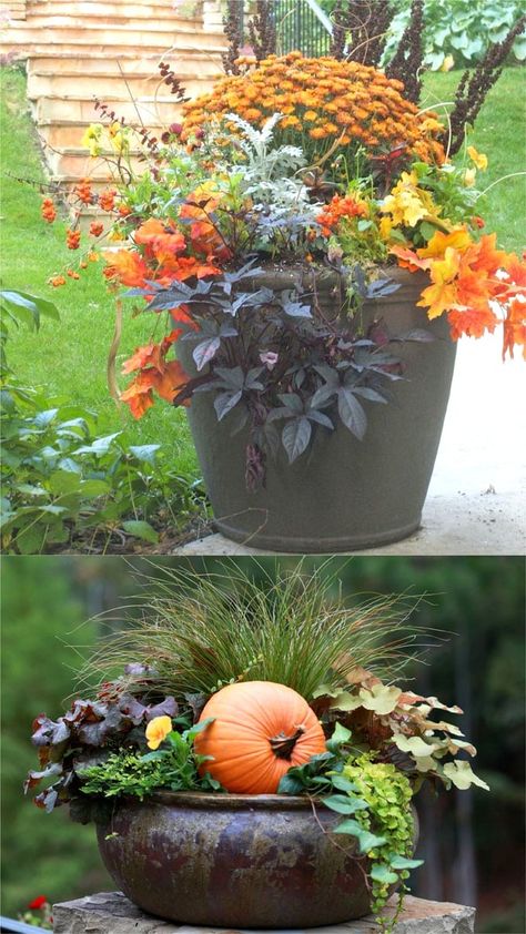 22 Beautiful Fall Planters for Easy Outdoor Fall Decorations - Page 2 of 2 - A Piece Of Rainbow Front Porch Urns Planters Fall, Fall Plant Container Ideas, Autumn Pots Outdoor, Autumn Container Planting, Fall Pots For Front Porch, Landscaping With Mums, Fall Planters With Pumpkins, Fall Potted Plants Front Porches, Fall Pots Outdoor Planters