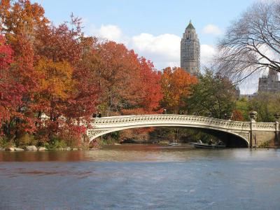 New York's Central Park Walking Tour (Self Guided), New York, New York Bow Bridge Central Park, Frederick Law Olmsted, American Landscape, New York Central, The Statue Of Liberty, Prospect Park, University Campus, New York New York, Walking Tour