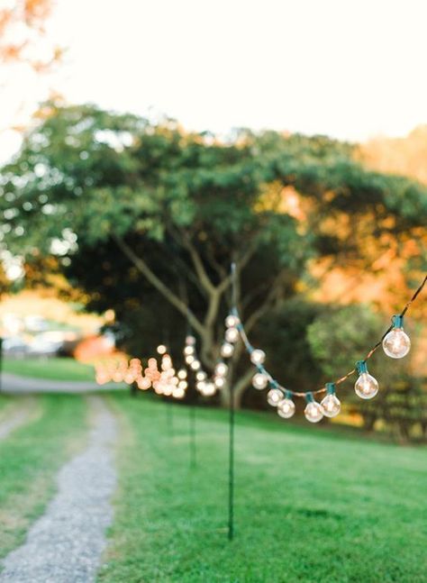 Backyard Graduation Party, Horse Farm, Open Field, Southern Weddings, Horse Farms, Southern Wedding, Wedding Mood, Wedding Lights, Reception Venues