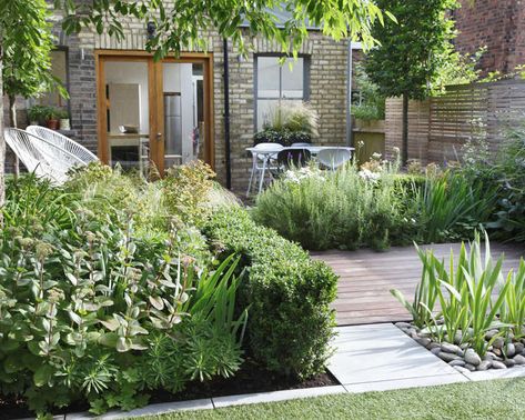 Small Garden Landscape, Low Maintenance Garden, Garden Edging, City Garden, Plants And Flowers, Small Garden Design, Courtyard Garden, Garden Cottage, Back Garden