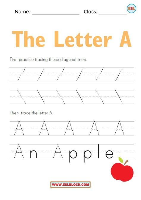 Teaching the letter A is the first stage in a child’s learning. After the letter A sound is established, children can begin learning to trace and even communicate the letter A. Before teaching a child how to read, it is essential to make sure to recognize the alphabet A and be able to write it. Free Worksheets, Kindergarten Worksheets, Preschool Worksheets, Tracing the Letter A, Tracing the Letter A Worksheets, Tracing Worksheets, Worksheets Lowercase A Worksheet, Letter Aa Activities For Preschool, Letter A Handwriting Worksheet, Teaching The Letter A, Words Starts With Letter A Worksheet, Letter A Tracing Worksheet, Abcd Worksheet Tracing, Tracing Capital Letters Worksheets, Bird Crafts Preschool