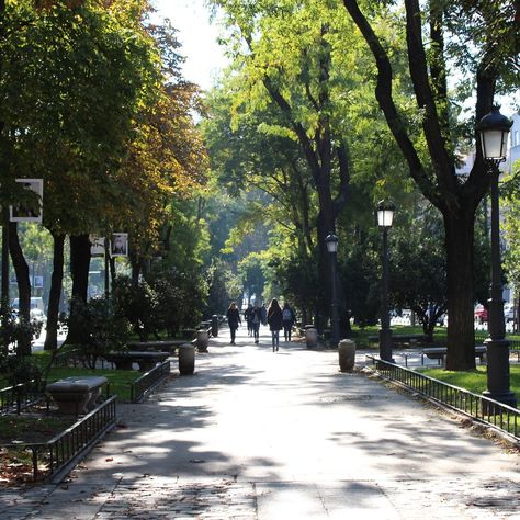 PASEO DEL PRADO: Tickets, Tours & Tips (with Photos) Madrid Prado, Madrid City, Most Beautiful Cities, Rooftop Bar, International Travel, Tour Guide, Trip Advisor, Madrid, Need To Know