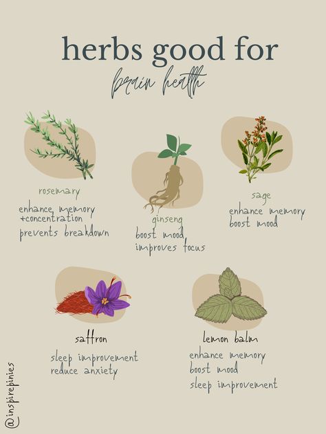 Herbs For Inflammation, Osteoporosis Prevention, Healing Water, Health Herbs, Natural Path, Mental Healing, Healing Waters, Herbs For Health, Mental Health Support