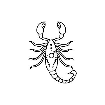 Scorpio Drawing Zodiac, Scorpio Drawing, Aquarius Signs, Sign Drawing, Constellation Zodiac Signs, Aries Constellation, Aquarius Constellation, Scorpio Zodiac Sign, Line Art Style