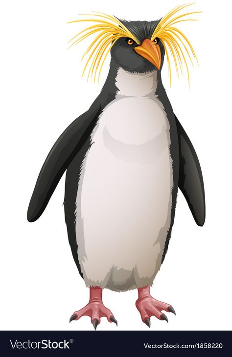 Rockhopper penguin Royalty Free Vector Image - VectorStock Rockhopper Penguin Drawing, Pingu Penguin, Cartoon Penguin, Penguin Pfp, Royal Penguin, Macaroni Penguin, Rockhopper Penguin, Penguin Cartoon, Penguin Illustration