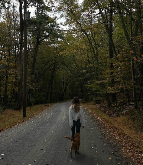 New York Fall Aesthetic, Ny Aesthetic, Ella Mcfadin, New York Upstate, Forest Cottage, Fall Bucket List, New York Aesthetic, New York Fall, Upstate Ny