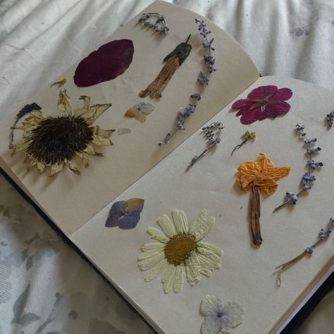 Pressing Flowers Aesthetic, Flower Pressing Aesthetic, Dried Pressed Flowers, Small Notebook Aesthetic, Pressed Flowers Aesthetic, Pressed Flowers Book, Pressed Flower Journal, Flower Press Book, Flowers In Notebooks