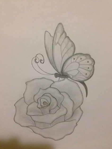 Flower And Butterflies Drawing, Rose Butterfly Drawing, Butterflies And Roses Drawing, Butterfly Rose Drawing, Butterfly On Rose Drawing, Butterfly And Rose Drawing, Drawings With Butterflies, Side Butterfly Drawing, Butter Flying Drawing