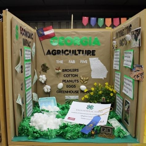 Mini Booth 2 4h Booth Ideas, Fab Five, Booth Ideas, County Fair, 4 H