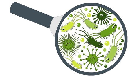 How long does it take for your gut bacteria to recover after antibiotics? Healthy Probiotics, Human Genome, Neck Exercises, Healthy Bacteria, Minding Your Own Business, Probiotics Supplement, Gut Bacteria, Beneficial Bacteria, Health Info