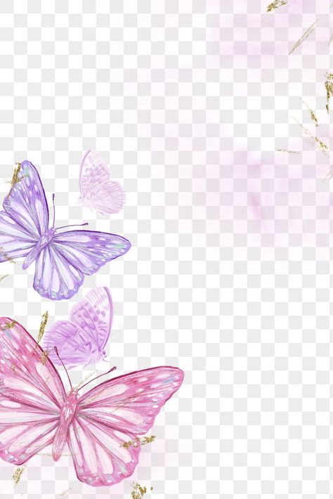 Butterfly Border Design Aesthetic, Butterfly Border Design Frames, Butterfly Frames And Borders, Flower Border Design Aesthetic, Purple Butterfly Background, Butterfly Border, Png Border, Flower Border Png, About Butterfly