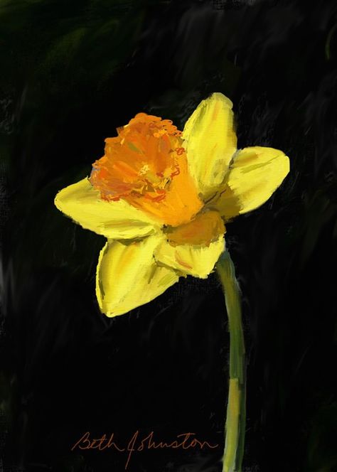 Beth Johnston Art - Still Life Paintings bethjohnstonart.com Painting Daffodils Acrylic, Daffodil Art, Daffodil Painting, Snake Painting, Acrylic Flower Painting, Impasto Painting, Watercolor Flowers Paintings, Oil Painting Flowers, Still Life Art