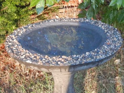 How to make a bird bath | Ignoring the bottom line, and being a Mom Make A Bird Bath, Cement Bird Bath, Plastic Bird Bath, Concrete Mix Design, Make A Bird, Bird Bath Bowl, Glass Bird Bath, Concrete Bird Bath, Diy Bird Bath