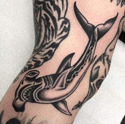 Hammerhead Traditional Tattoo, Hammerhead Shark Skeleton Tattoo, Shark Patchwork Tattoo, Trad Shark Tattoo, Traditional Tattoos Shark, Traditional Shark Tattoo Design, Traditional Hammerhead Shark Tattoo, Hammer Shark Tattoo, Old School Shark Tattoo