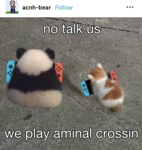 Ac New Leaf, Animal Crossing Funny, Animal Crossing Memes, New Animal Crossing, Animal Crossing Game, Cute Memes, Wholesome Memes, Love Memes, Oui Oui