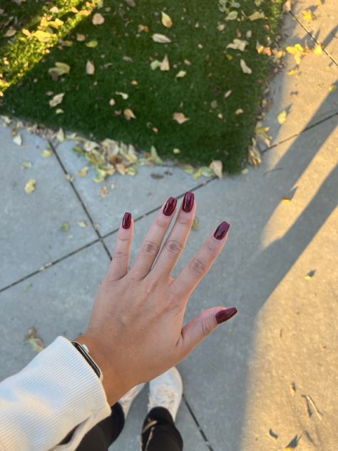 Fall nails. OPI Malaga Wine Dip Powder. In shadows or regular light it pulls a deep maroon/burgunday color. In direct sunlight or flash you can see more of the red tone to it. My nails have tips with coffin shape and dip on top! Fall Nails Opi, Opi Malaga Wine, Malaga Wine, Nails Opi, Red Tone, Deep Maroon, Coffin Shape, Dip Powder, My Nails