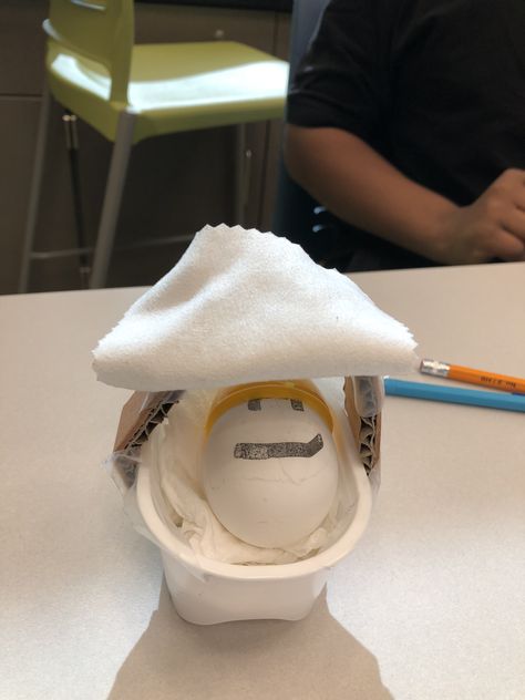 Materials needed: Hard boiled egg, recyclable materials.  The students baby sit the egg and create a carrying case to protect it. Egg Carrier For School Project, Baby Egg Project School, Egg Baby Project Ideas Carrier, Egg Container Craft, Baby Egg Project, Egg Baby Project, Egg Carrier, Egg Project, Ap Psych