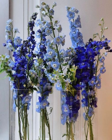 Larkspur Flower Bouquet, Larkspur Wedding Bouquet, Larkspur Bouquet, Blue Delphinium Wedding, Dark Blue Delphinium, Delphinium Wedding, Blue Flower Arrangements, Larkspur Flower, Flowers In The Attic