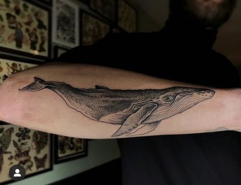 Whale Forearm Tattoo, Whale Arm Tattoo, Whale Tattoo Arm, Fine Line Whale Tattoo, Blue Whale Tattoo, Whale Tattoo Design, Tattoo Whale, Humpback Whale Tattoo, Killer Whale Tattoo