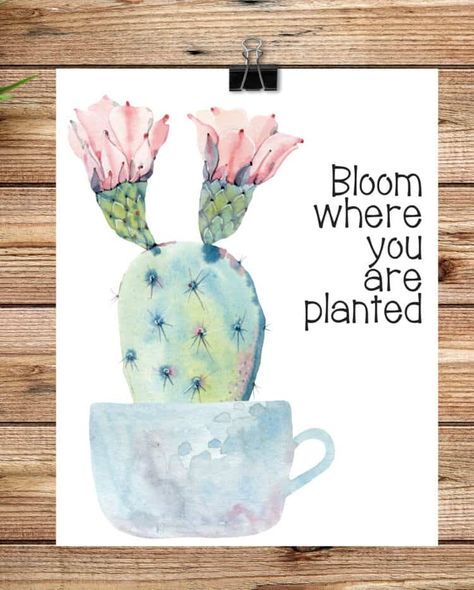 Spring Printables Free, Lavender Hedge, Cactus Classroom, Decorate Kitchen, Cactus Printable, Flowering Cactus, Spring Banner, Spring Printables, Free Printable Stickers