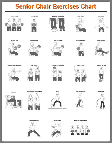 Senior Chair Exercises Printable Charts Senior Chair Workouts, Chair Workout Exercises For Belly, Senior Circuit Workout, Senior Mobility Exercises, Chair Strength Exercises, Stability Exercises For Seniors, Elder Exercise Senior Fitness, Senior Citizen Workout Routines, Geriatric Exercises Senior Fitness