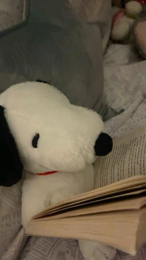 Snoopy Plushie, Snoopy Reading, Snoopy Stuffed Animal, Snoopy Plush, Baby Snoopy, Snoopy Cartoon, Snoopy Images, Snoopy Wallpaper, Snoopy Pictures