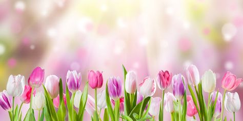 Spring Flowers Images, What Is Prayer, Sunny Flowers, Flowers Images, Project Life Cards, Spring Mood, Cute Flower Wallpapers, Wallpaper Nature Flowers, Best Kids Toys