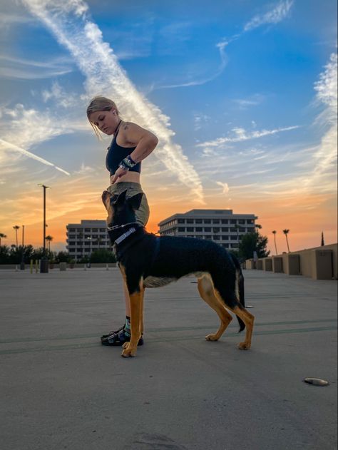 Trainer Aesthetic, Training Aesthetic, Guard Dog Training, Baby German Shepherds, Service Dogs Gear, Dog Photoshoot, Dog Training Advice, Puppy Training Tips, Dog Training Videos