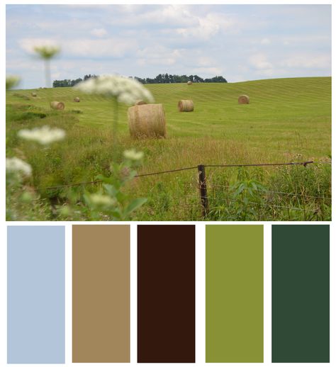 Color Boards, House Color Schemes, Color Palate, Design Seeds, Colour Board, Colour Palettes, Coordinating Colors, Colour Schemes, Color Pallets