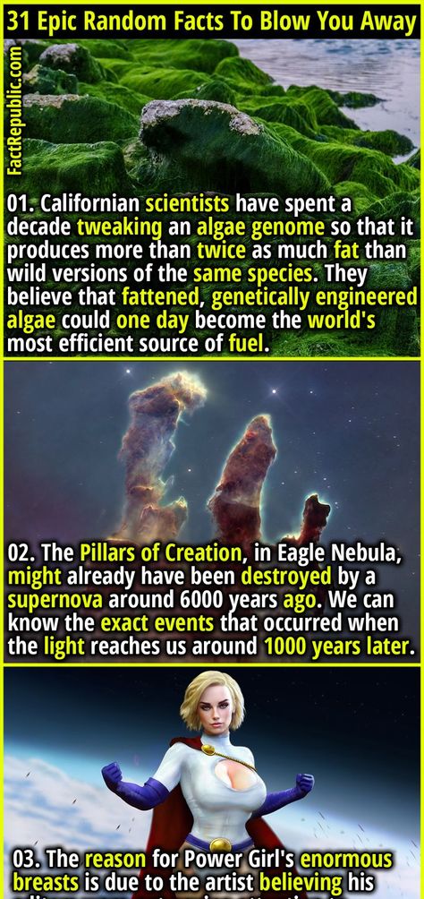 Epic Facts, Science Facts Mind Blown, Science Knowledge, Eagle Nebula, Ok Go, Fact Republic, Science Fact, Amazing Science Facts, Executive Branch