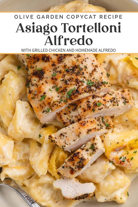 Turn your kitchen into an Italian restaurant with this delicious pasta dish. Our take on beloved asiago tortelloni alfredo is filling, flavorful, and satisfying, with cheese-stuffed tortelloni, creamy alfredo sauce, and tender Italian-seasoned grilled chicken. Every bit as delicious as that Olive Garden favorite, it's a simple but impressive restaurant-quality meal you'll want to make over and over again. Olive Garden Tortellini Alfredo, Asiago Tortellini Alfredo, Olive Garden Chicken Tortellini Alfredo, Asiago Tortellini Chicken Alfredo, Asiago Tortellini, Asiago Recipes, Chicken Tortellini Alfredo, Asiago Chicken Pasta, Alfredo Tortellini