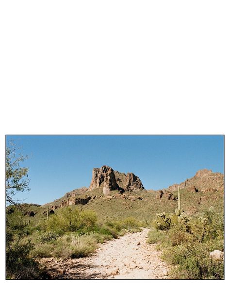 Recent film scans from the desert🌵 If you are interested in having your wedding day documented on film, I have a really exciting announcement coming later this month!✨ 🎞️120 & 35mm film developed & scanned by @photovisionprints . . . Phoenix Wedding. Arizona Wedding Photographer. Destination Wedding Photographer. Desert Wedding. Documentary Wedding Photographer. Film Photographer. Weddings on Film. Wedding Documentary, Wedding Arizona, Phoenix Wedding, Film Photographer, Desert Wedding, Arizona Wedding, Film Photographers, Documentary Wedding, On Film