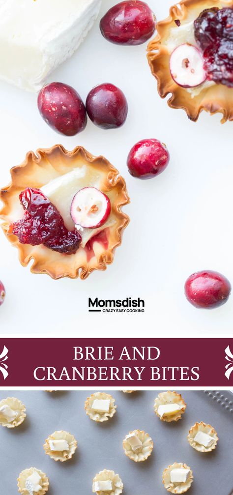 Brie Cranberry Bites, Phyllo Dough Cups, Brie And Cranberry, Cranberry Bites, Cranberry Brie Bites, Creamy Brie, Brie Cranberry, Thanksgiving Appetizer, Cranberry Brie