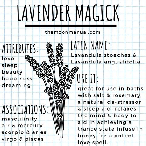 The Green Witch Diaries - Lavender - Wattpad Lavender In Witchcraft, Lavender Witchcraft Uses, Lavender Witchcraft, Modern Farmhouse Kitchen Decor Ideas, Witch Diary, Plant Magick, Herb Magick, Lavender Witch, Chic Modern Farmhouse