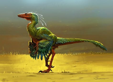 ArtStation - Dino _ feather, Jaemin Kim Feathered Raptor, Prehistoric Animals Dinosaurs, Ancient Creatures, Feathered Dinosaurs, Raptor Dinosaur, Prehistoric Wildlife, Dinosaur Pictures, Dinosaur Illustration, Ancient Animals